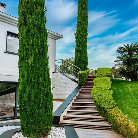 Bed & Breakfast Belvedere *